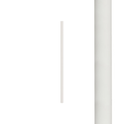 8570.jpg