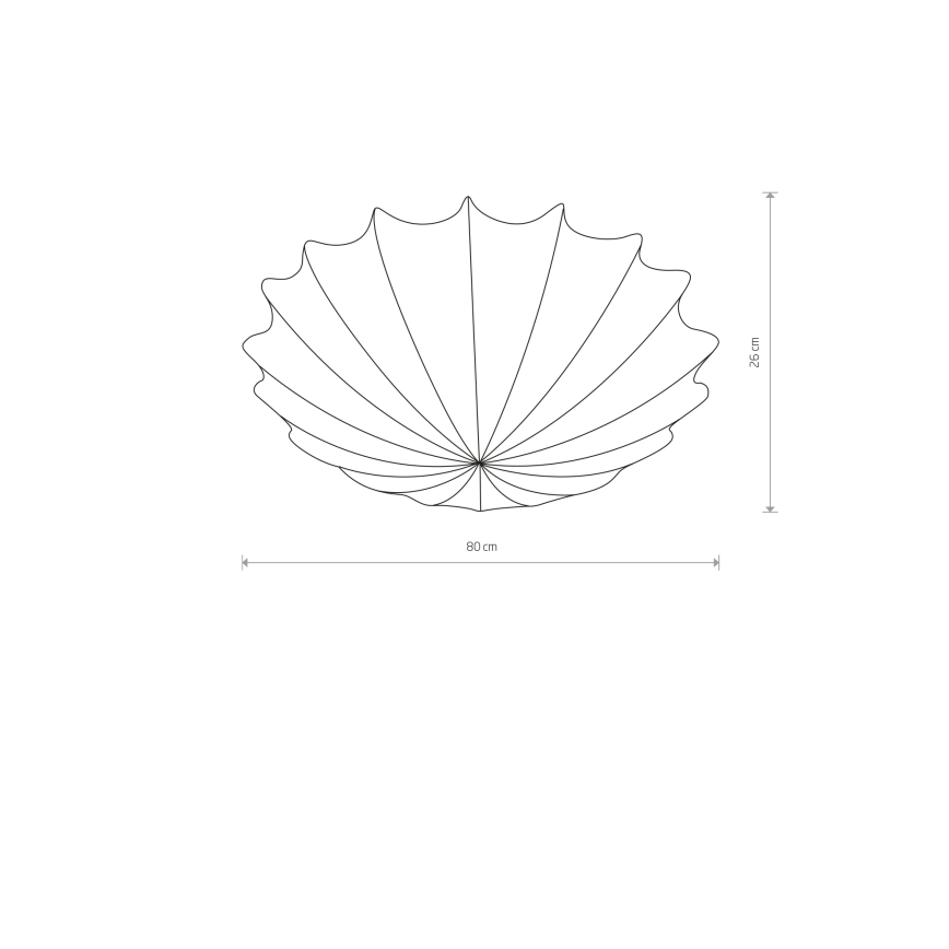 9672-2.jpg