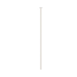 10920.jpg