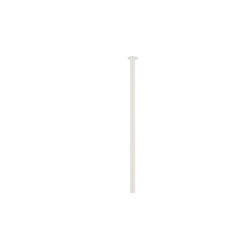 10908.jpg