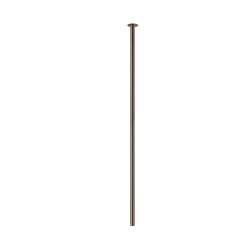 10923.jpg