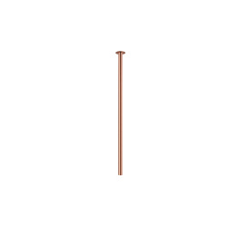 10911.jpg