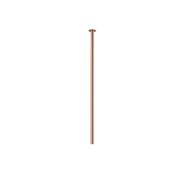 10916.jpg