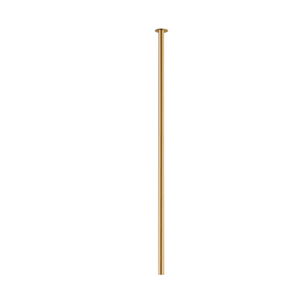 10921.jpg