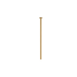 10910.jpg