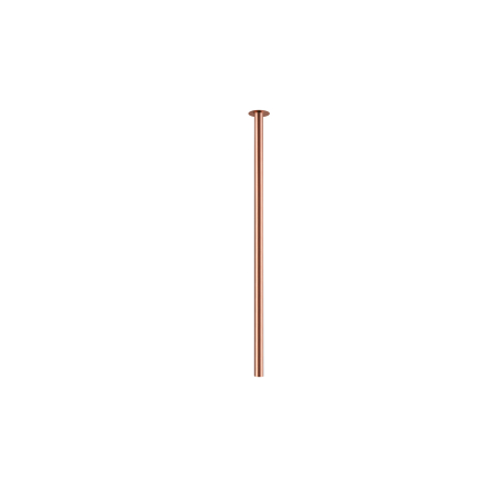 10911.jpg