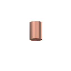 10534.jpg