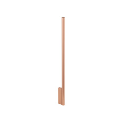 10831.jpg
