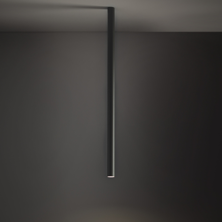 10896-1.jpg