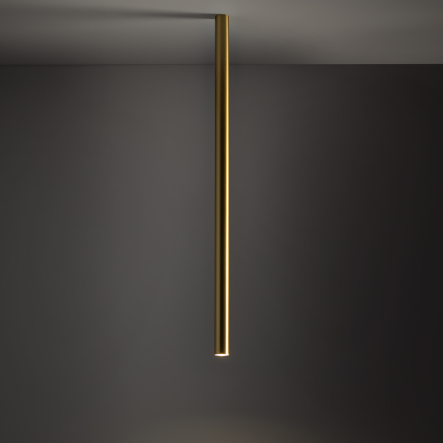 10894-1.jpg