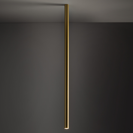 10897-1.jpg
