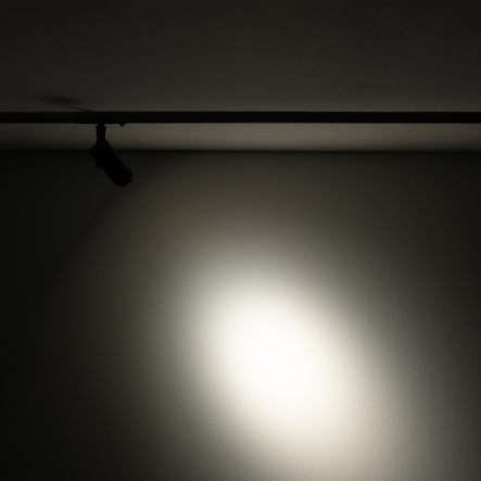 11716-1.jpg
