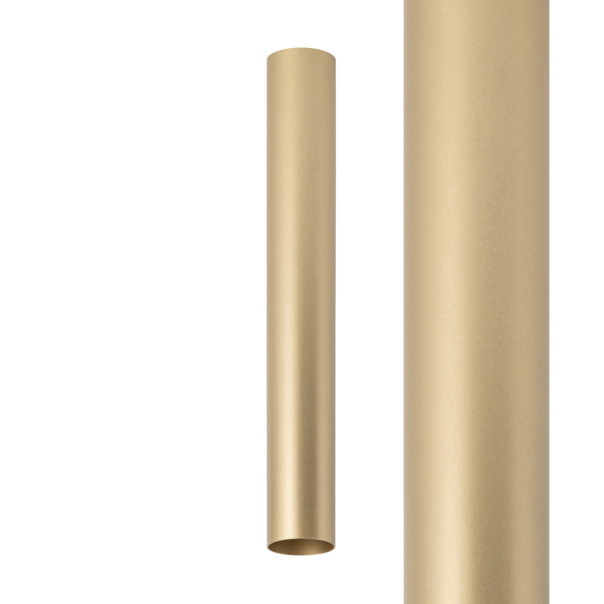 12142.jpg
