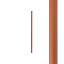 12137.jpg